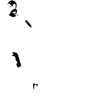 Karro springer